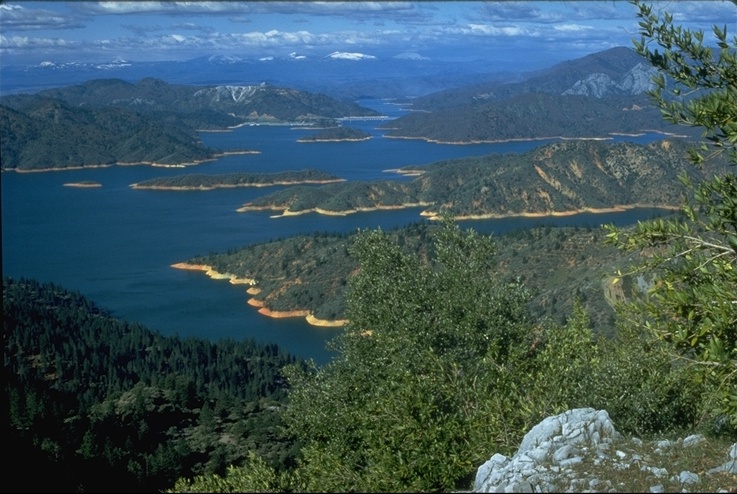 Shasta Lake