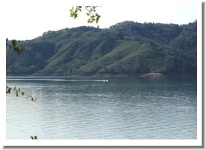 Shasta Lake, near Redding Ca.