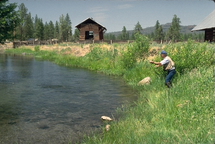 Fishing