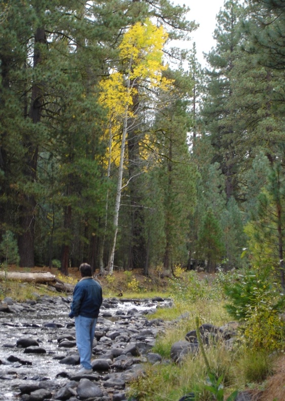 Upper Hat Creek