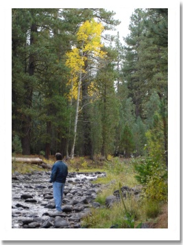 Upper Hat Creek Late in Summer