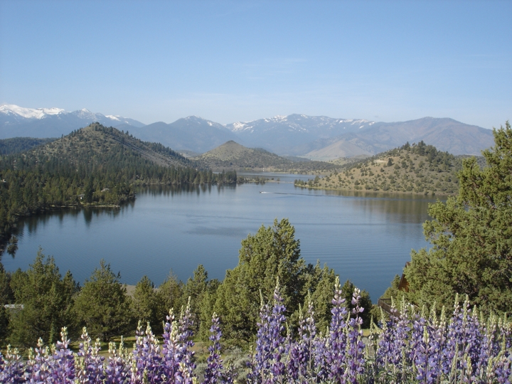 Lake Shastina