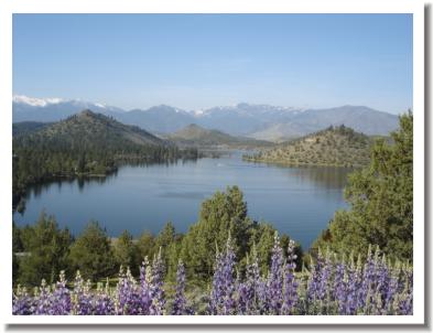  Redding California Real Estate