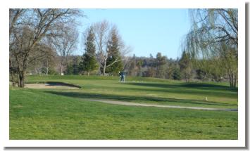 Palo Cedro Golf
