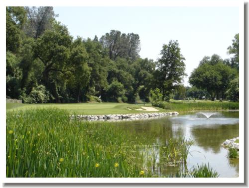 Riverview Golf and Country Club, Redding California, 17 green
