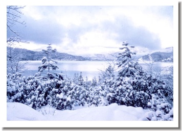  Whiskeytown Lake in Snow,  Redding California after a heavy snow