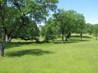 Akrich St.