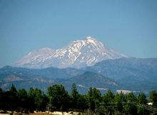 Redding Real Estate