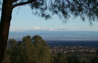 Bond Ridge, Redding Real Estate