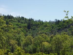 40 acres off the grid, Shingletown, CA