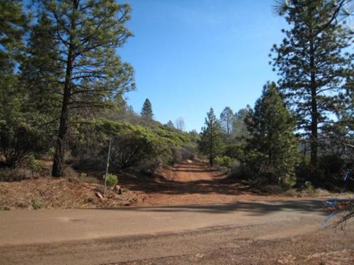 40 acres off the grid, Shingletown, CA