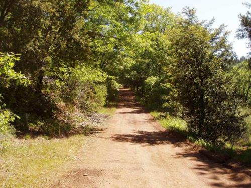 40 acres off the grid, Shingletown, CA