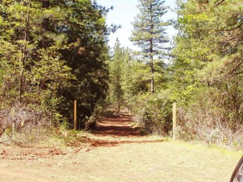 40 acres off the grid, Shingletown, CA