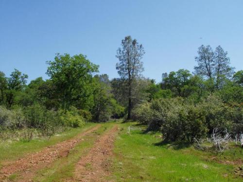 40 acres off the grid, Shingletown, CA