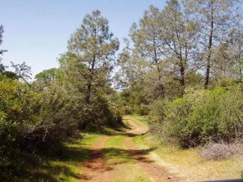 40 acres off the grid, Shingletown, CA