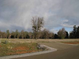 Manzanillo Way, Redding CA