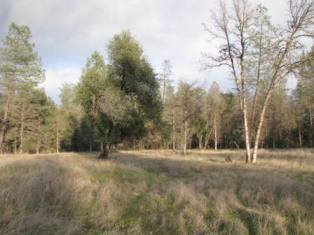 Manzanillo Way, Redding CA
