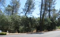 Tiera Heights Rd., Redding CA