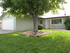 Redding Real Estate