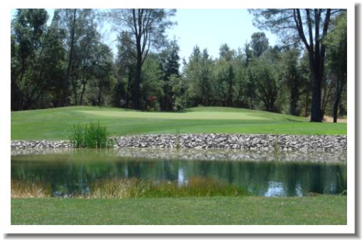 Gold Hills Golf, Redding California, #13 green
