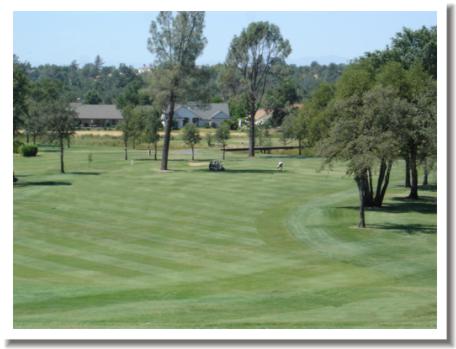 Gold Hills Golf, Redding California, #1 fairway