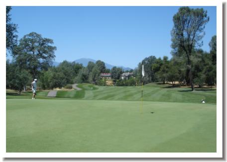 Gold Hills Golf Club #5 Green, Redding California