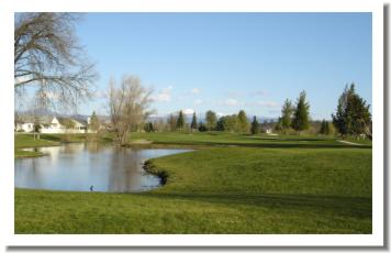 Shingletown Homes
