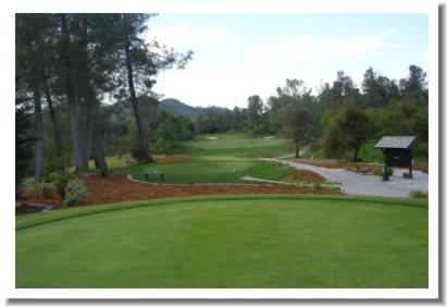 Practice Putting Green