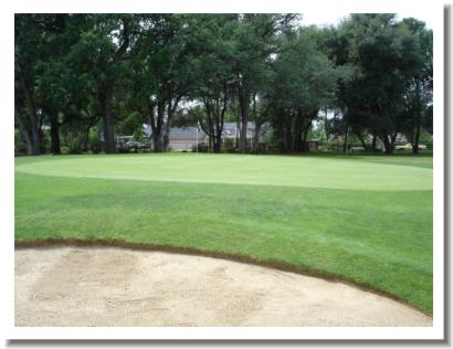 Tucker Oaks Golf Course, #3 green, Redding California 